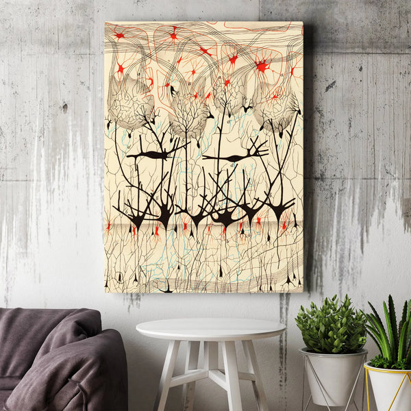 Ramon y Cajal Neuron Drawing Canvas | Vintage Neuroscience Wall Art | Premium Gallery-Wrapped Print | Scientific Decor Gift f